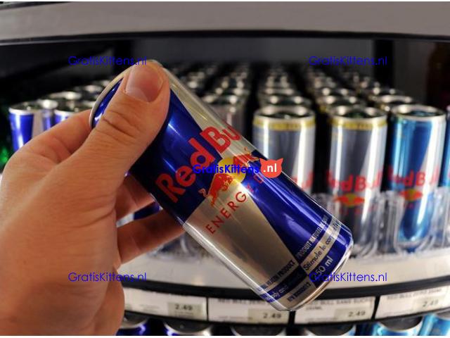 Red Bull Energy Drink – Wholesale Stock Available Now!