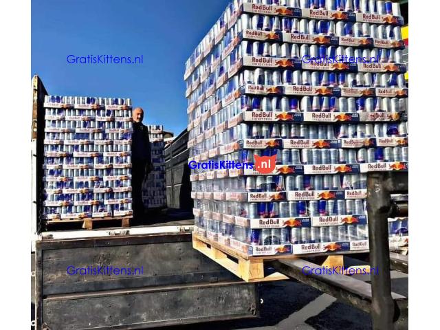 Wholesale Red Bull Energy Drink