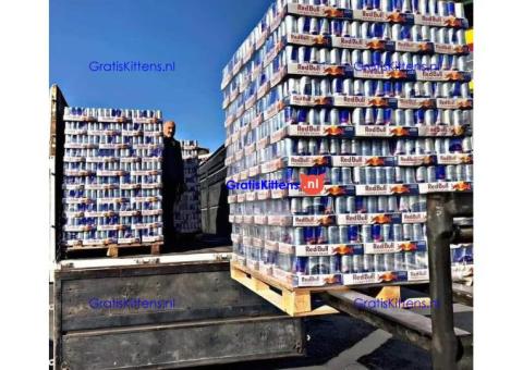 Wholesale Red Bull Energy Drink