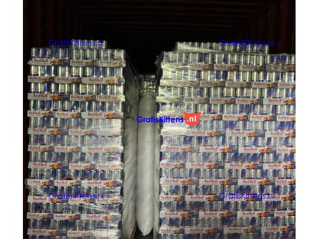 Wholesale Red Bull Energy Drink