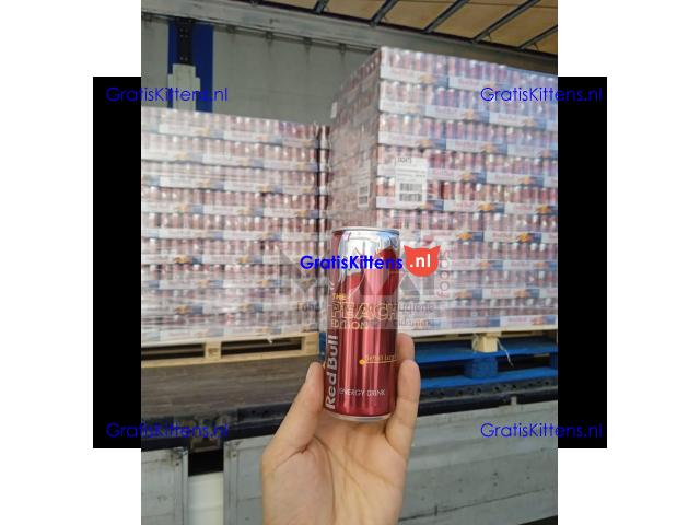 Red Bull Energy Drink