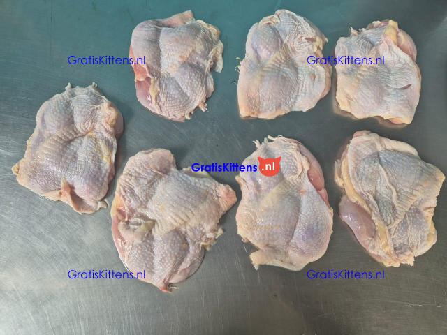 Frozen boneless Chicken Breast