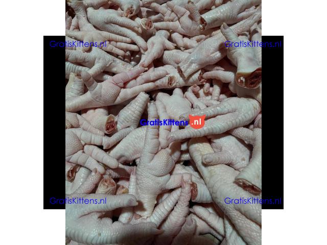Frozen boneless Chicken Breast