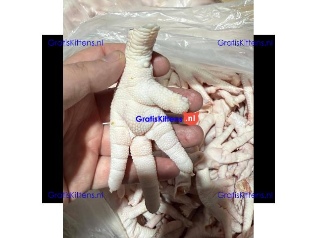 Frozen boneless Chicken Breast
