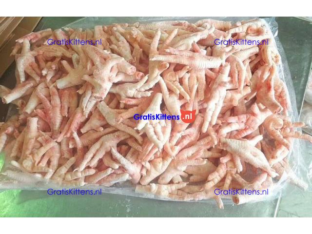 Wholesale Suppliers Premium Quality Halal Frozen Whole Chicken And Chicken Parts With Comp