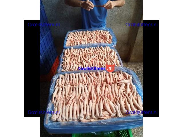Frozen Chicken Feet