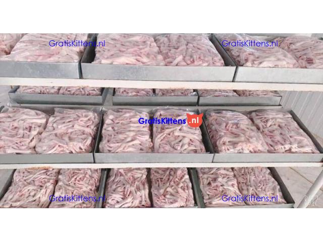 Frozen Chicken Feet