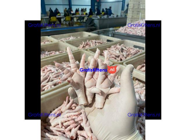 Frozen Chicken Feet