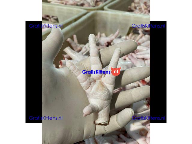 Frozen Chicken Paw Wholesale Suppliers