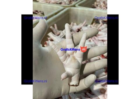 Frozen Chicken Paw Wholesale Suppliers