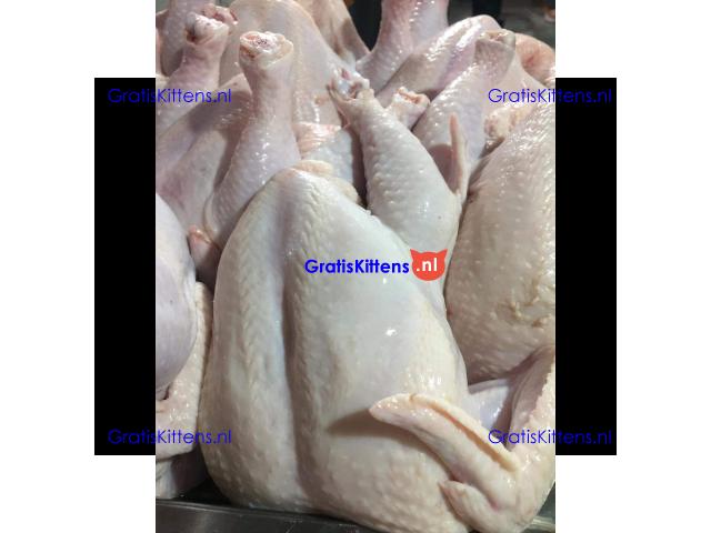 Frozen Chicken Paw Wholesale Suppliers