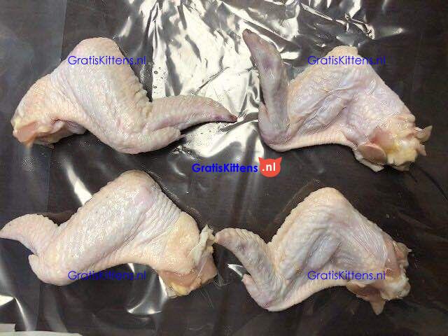 Frozen Chicken Paw Wholesale Suppliers