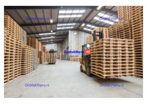 Wholesale EPAL Euro Pallets