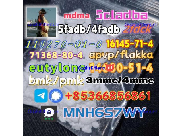 86347-14-0 good quality Medetomidine hot sale