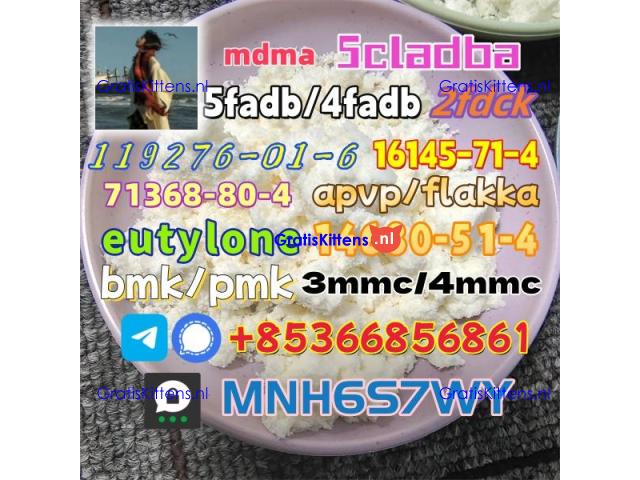 bmk/pmk raw material best-selling