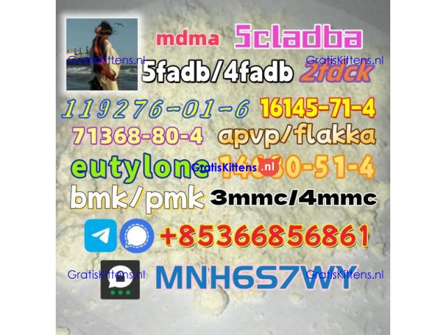 1451-82-7 raw material wholesale affordable price
