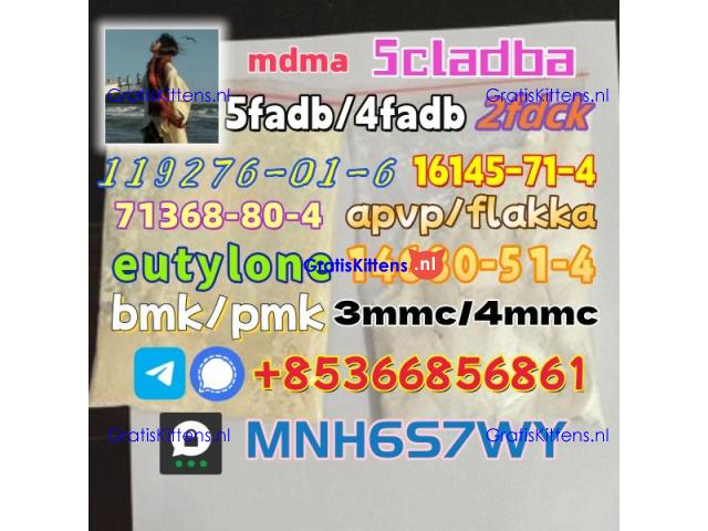 1451-82-7 raw material wholesale affordable price