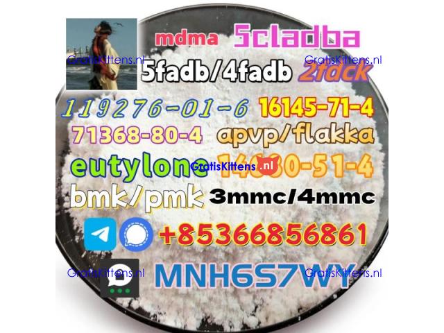 1451-82-7 raw material wholesale affordable price