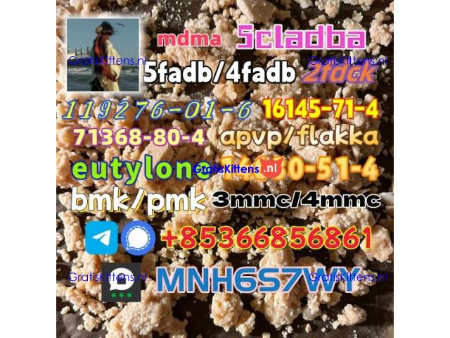 1451-82-7 raw material wholesale affordable price