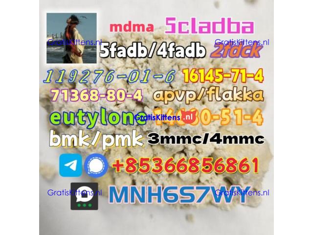 1451-82-7 raw material wholesale affordable price
