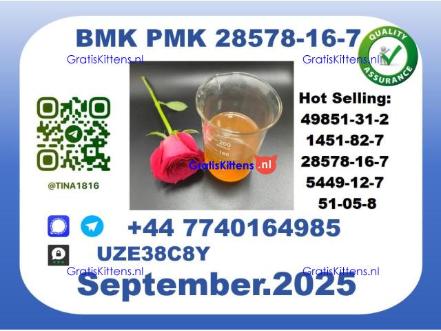 BMK PMK factory，CAS 28578-16-7 worldwide safe&fast delivery