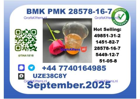 BMK PMK factory，CAS 28578-16-7 worldwide safe&fast delivery