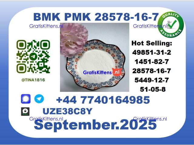 BMK PMK factory，CAS 28578-16-7 worldwide safe&fast delivery