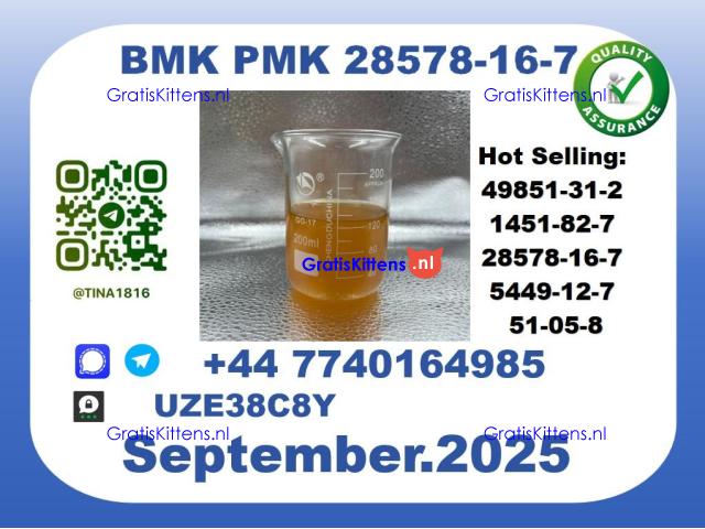 BMK PMK factory，CAS 28578-16-7 worldwide safe&fast delivery