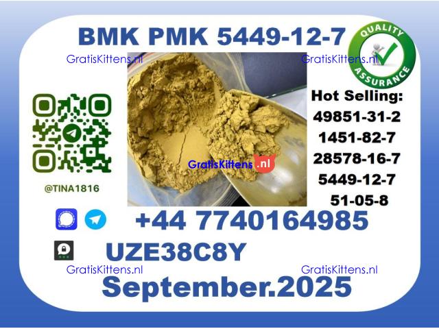 B MK P MK factory,CAS 5449-12-7 worldwide safe&fast delivery