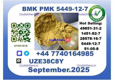 B MK P MK factory,CAS 5449-12-7 worldwide safe&fast delivery