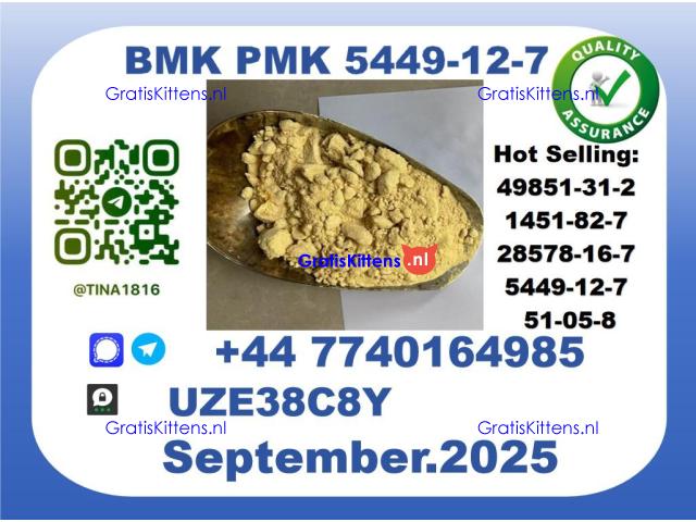 B MK P MK factory,CAS 5449-12-7 worldwide safe&fast delivery