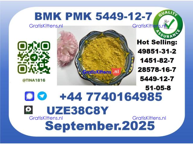 B MK P MK factory,CAS 5449-12-7 worldwide safe&fast delivery