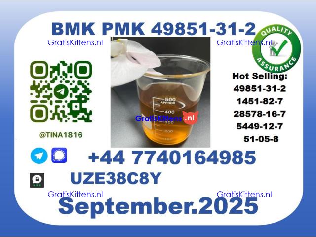 Pharmaceutical BMK PMK，49851-31-2 Chemical raw materials