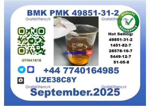 Pharmaceutical BMK PMK，49851-31-2 Chemical raw materials