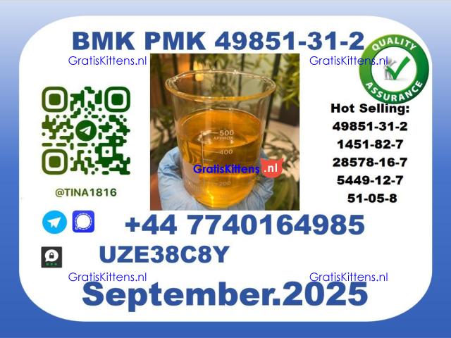 Pharmaceutical BMK PMK，49851-31-2 Chemical raw materials