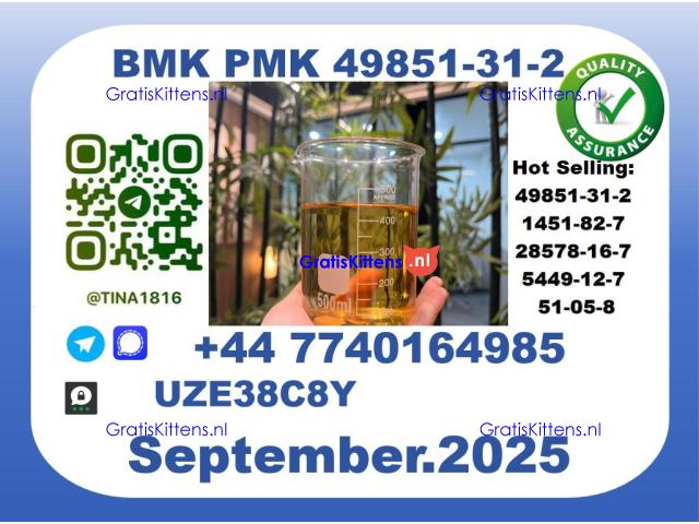 Pharmaceutical BMK PMK，49851-31-2 Chemical raw materials