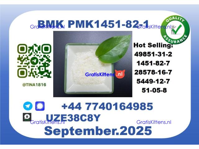 BMK PMK factory,CAS 1451-82-7 worldwide safe&fast delivery