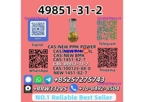 Reliable Supplier 49851-31-2 Fast Shipping Worldwide
