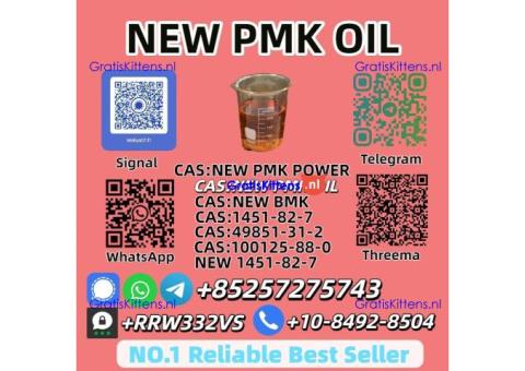 High Purity New P.M.K Oil 28578-16-7 Fast Shipping