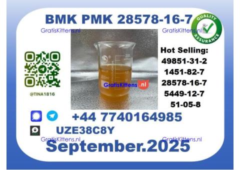 Trusted BMK PMK，CAS 28578-16-7-Precision-Sourced for Industry
