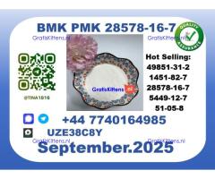 Trusted BMK PMK，CAS 28578-16-7-Precision-Sourced for Industry
