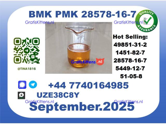 Trusted BMK PMK，CAS 28578-16-7-Precision-Sourced for Industry