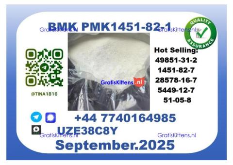 Pharmaceutical BMK PMK,1451-82-7 Chemical raw materials