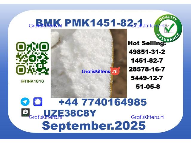 Pharmaceutical BMK PMK,1451-82-7 Chemical raw materials