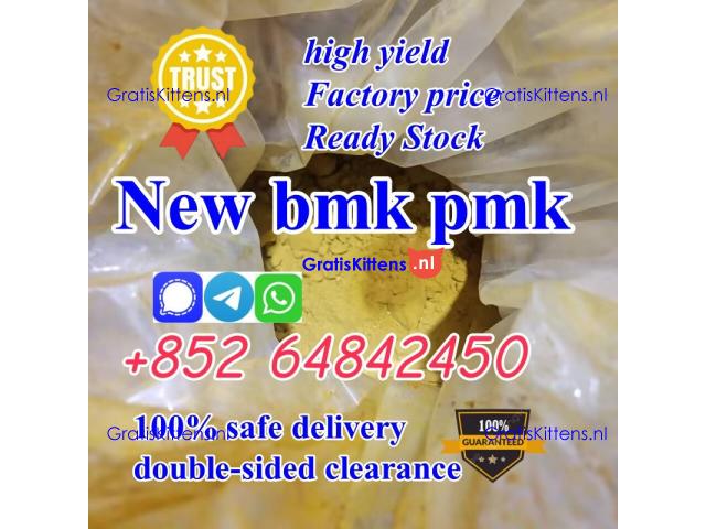 Where to buy new substitutes Bmk PMK powder with high purity/Yield ?