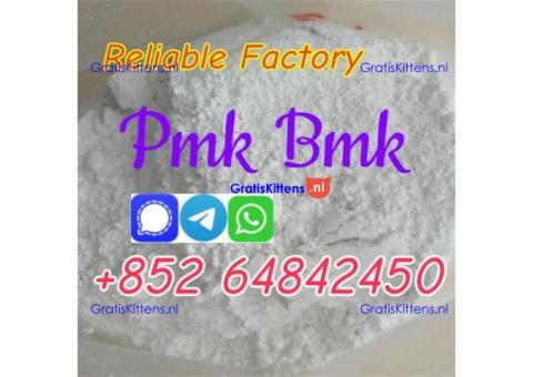 Where to Find Reliable Supplier of  PMK Powder ?