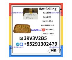 PMK 28578-16-7 & BMK 5449-12-7 & 100125-88-0