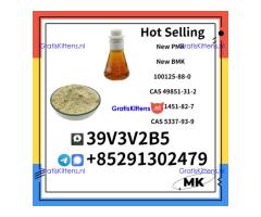 PMK 28578-16-7 & 100125-88-0  CAS 49851-31-2  CAS 1451-82-7  CAS 5337-93-9