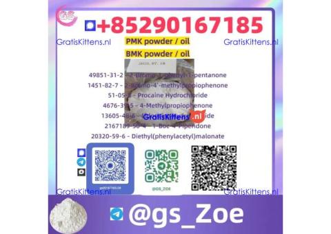 new p m k/b m k — Fragrance Intermediate (CAS 28578-16-7、5449-12-7)