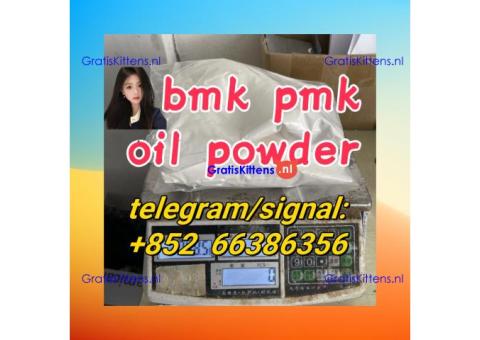 bmk pmk oil powder  法国的感到愧疚和公交